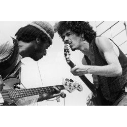 Dueling Guitars