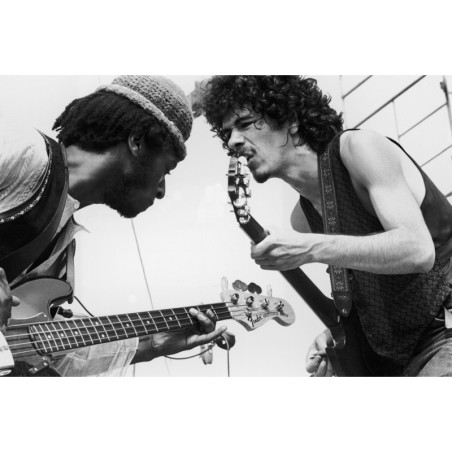 Dueling Guitars