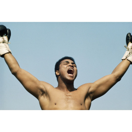 Muhammad Ali