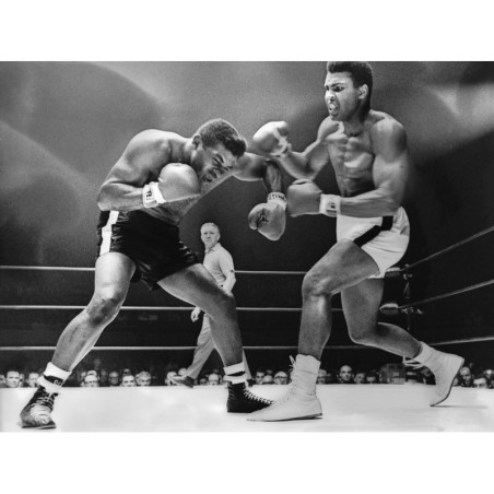 Ali Vs Patterson