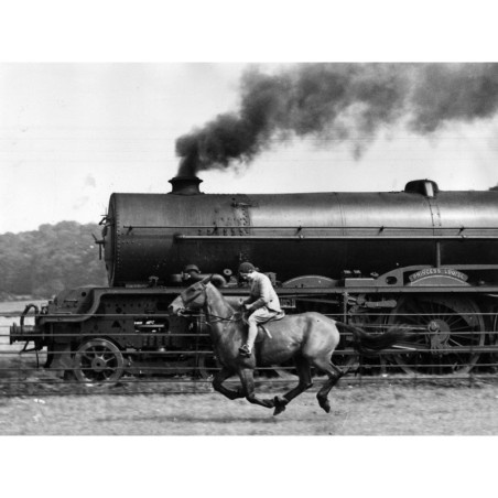 Steamy Steed