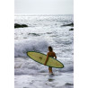Laguna Beach Surfers