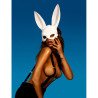Bunny Love