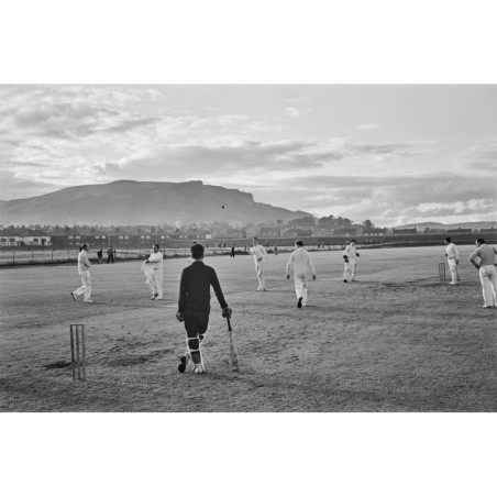 Cricketers on the Pitch