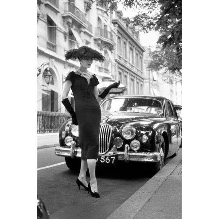 Elegant Daywear