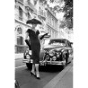 Elegant Daywear