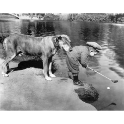 Helpful Dog