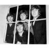 Peek-A-Boo Beatles